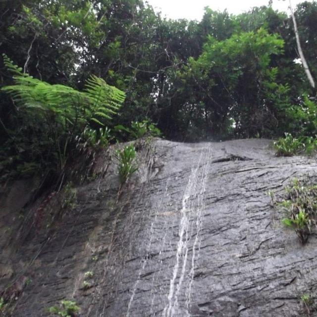 A Marca Do Farao * Cachoeiras de Macacu